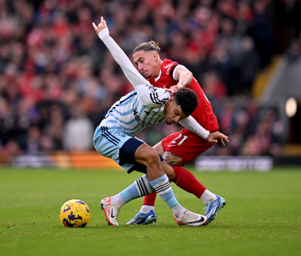 在失去理智 在失去理智